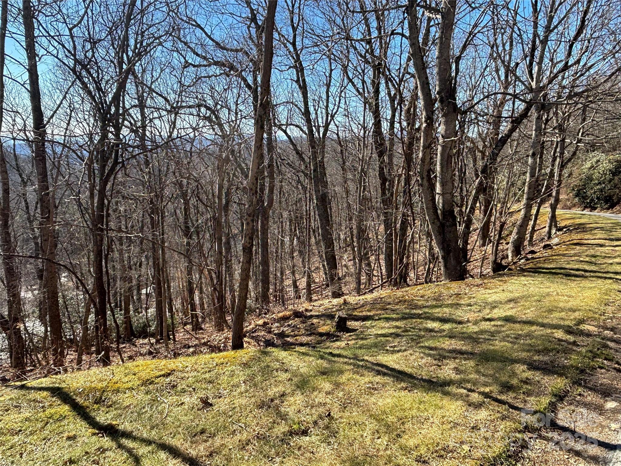Tbd State View Road Boone, NC 28607 - Photo 3 of 9 a view of a yard with large trees
