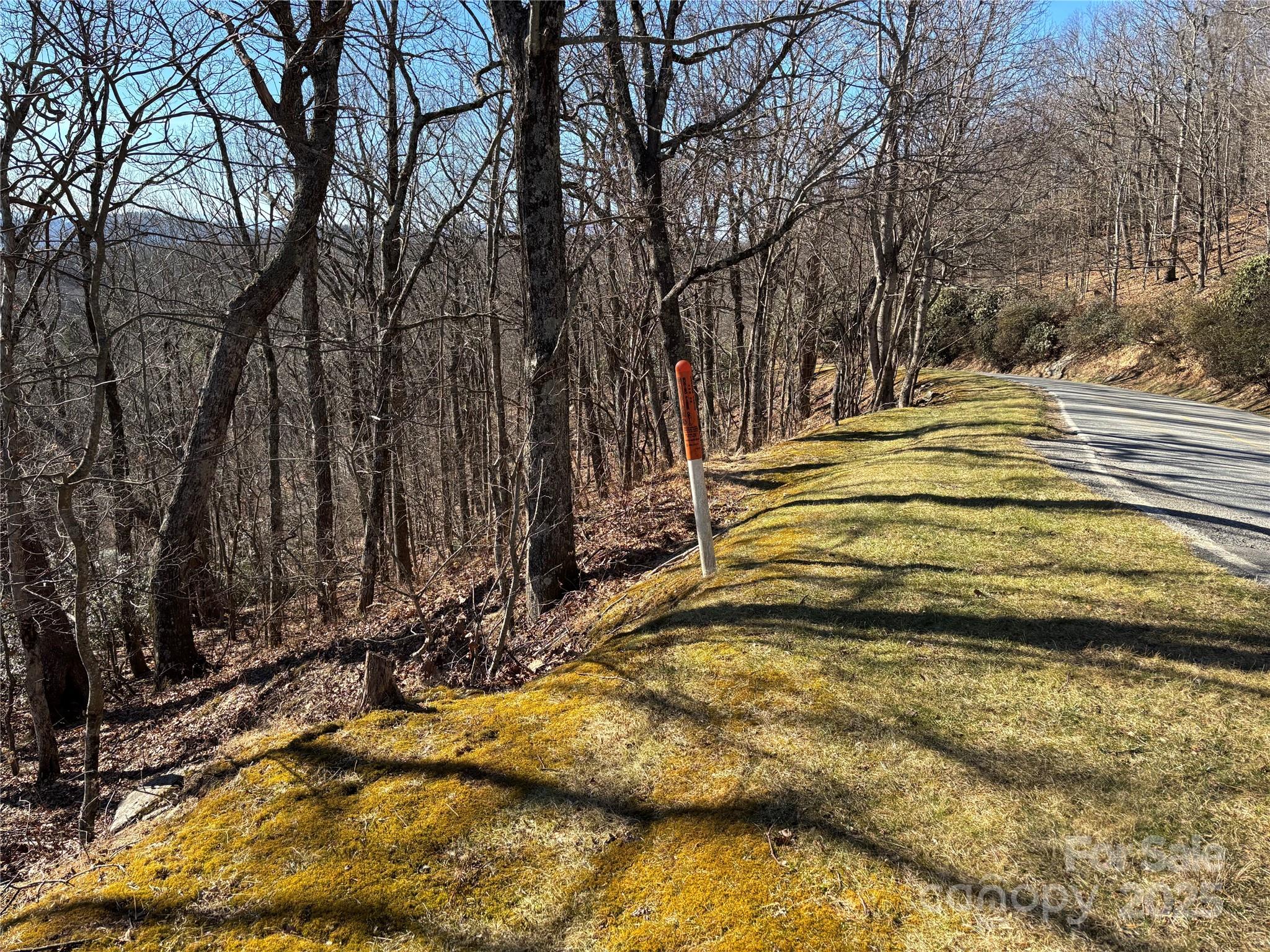 Tbd State View Road Boone, NC 28607 - Photo 4 of 9 a view of swimming pool with an outdoor space