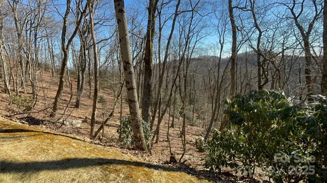 $190,000 | Tbd State View Road, Boone, NC 28607