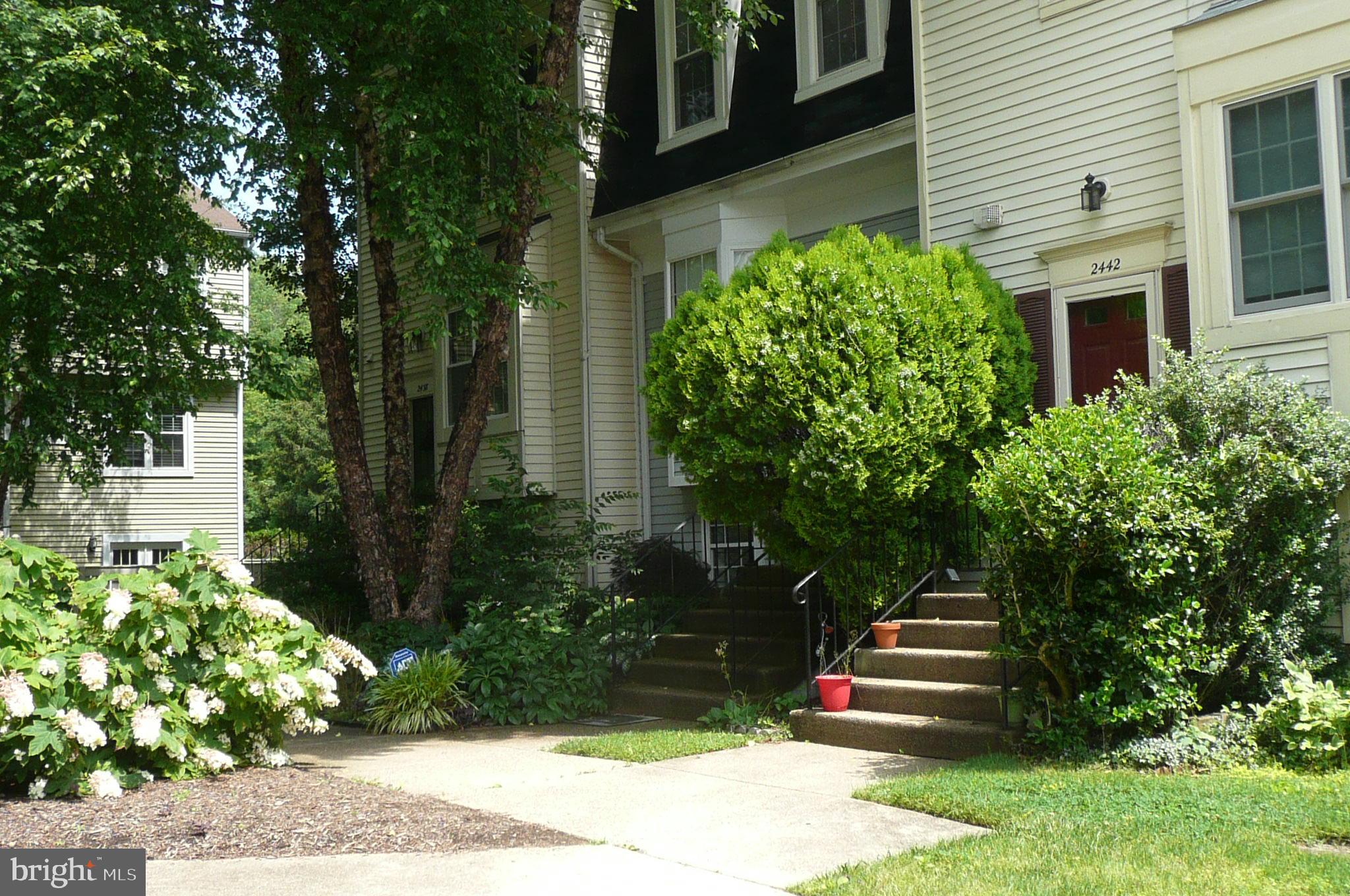 2442 Ridgehampton Court Reston, VA 20191 - Photo 3 of 20 Front stairway from courtyard