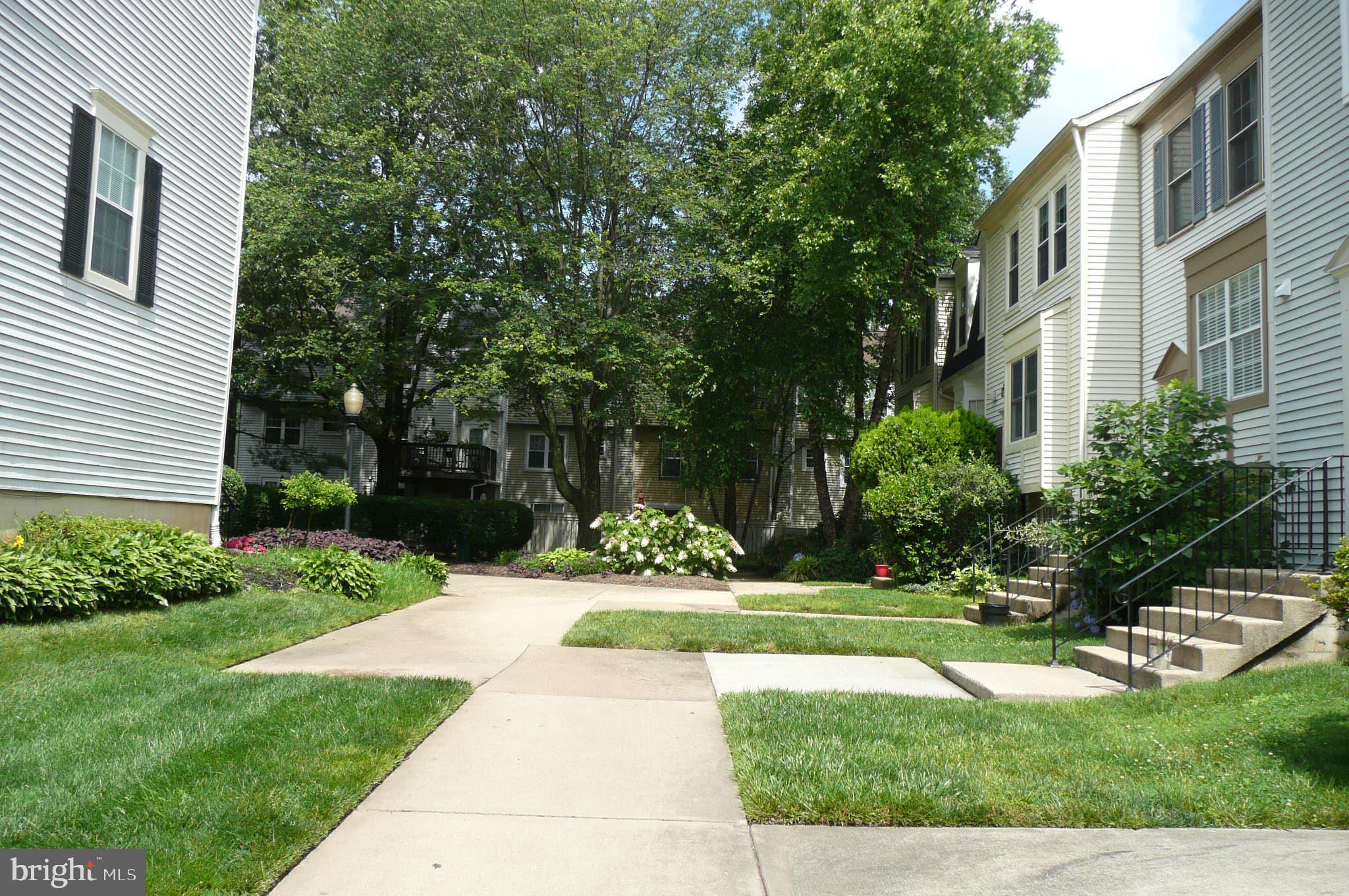 2442 Ridgehampton Court Reston, VA 20191 - Photo 5 of 20 View of courtyard from parking lot