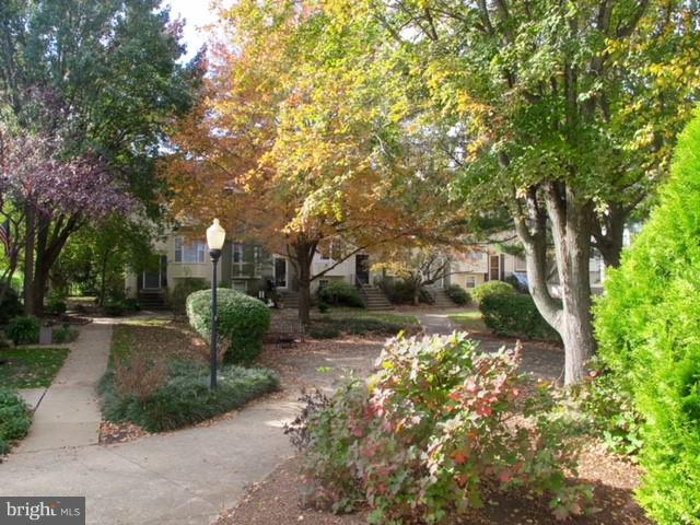 2442 Ridgehampton Court Reston, VA 20191 - Photo 6 of 20 VIEW OF COURTYARD (in the fall)