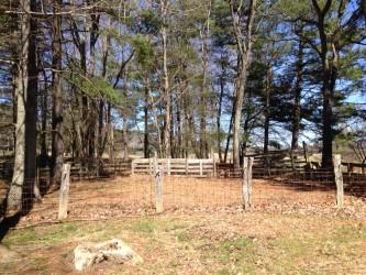8841 Newport Road Catawba, VA 24070 - Photo 5 of 20 Yard