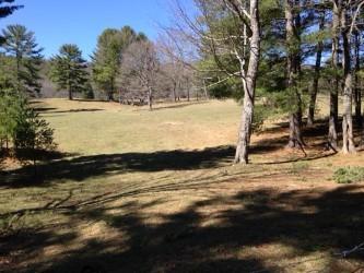 8841 Newport Road Catawba, VA 24070 - Photo 6 of 20 Yard / View