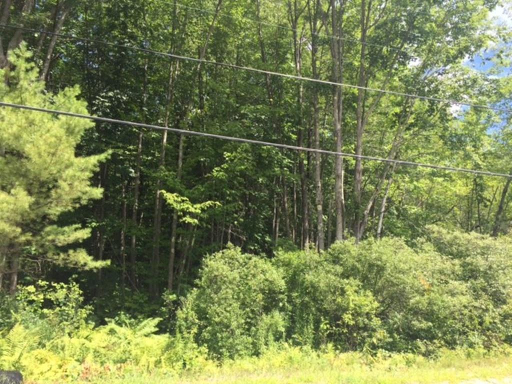 Lot 64.3 Station Road Belgrade, ME 04917 - Photo 3 of 4 Photo