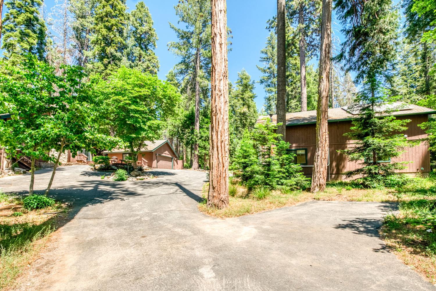 39145 Checkerbloom Lane Shaver Lake, CA 93664 - Photo 44 of 58