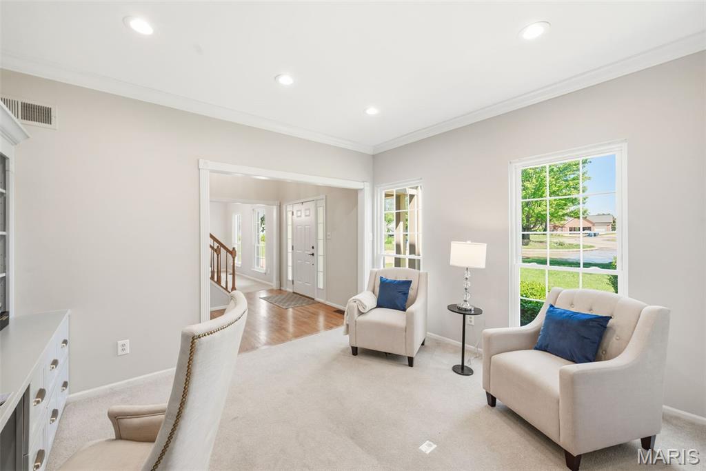 16112 Ridgewoods Manor Drive Ellisville, MO 63021 - Photo 14 of 64