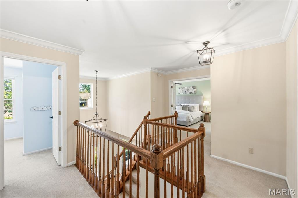16112 Ridgewoods Manor Drive Ellisville, MO 63021 - Photo 43 of 64