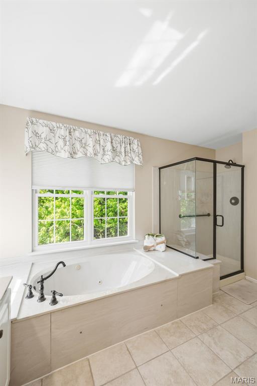 16112 Ridgewoods Manor Drive Ellisville, MO 63021 - Photo 47 of 64
