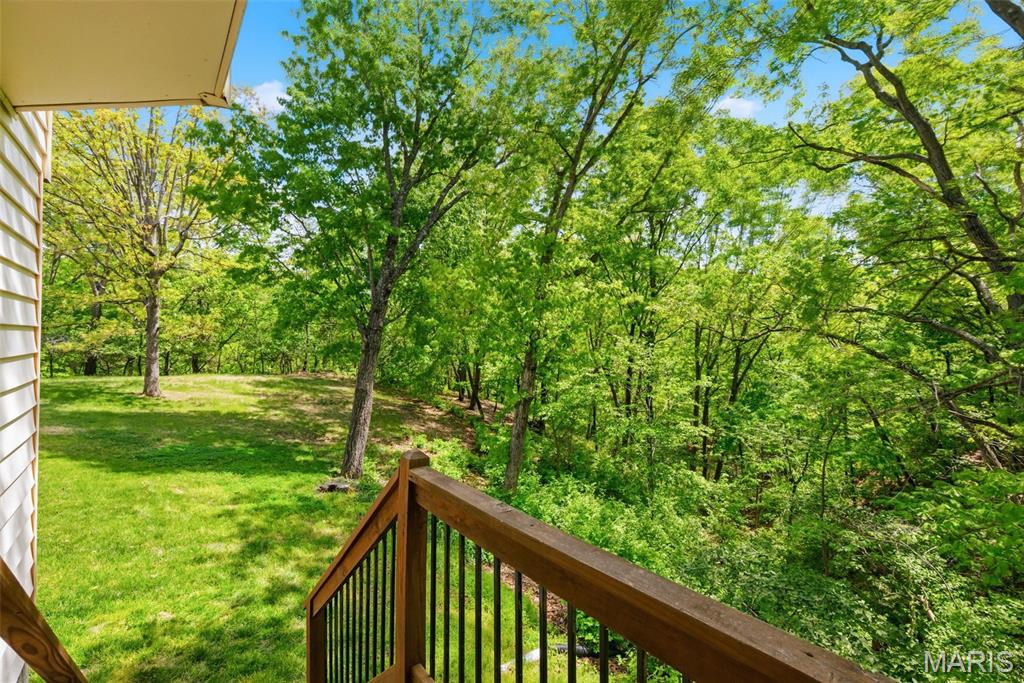 16112 Ridgewoods Manor Drive Ellisville, MO 63021 - Photo 56 of 64