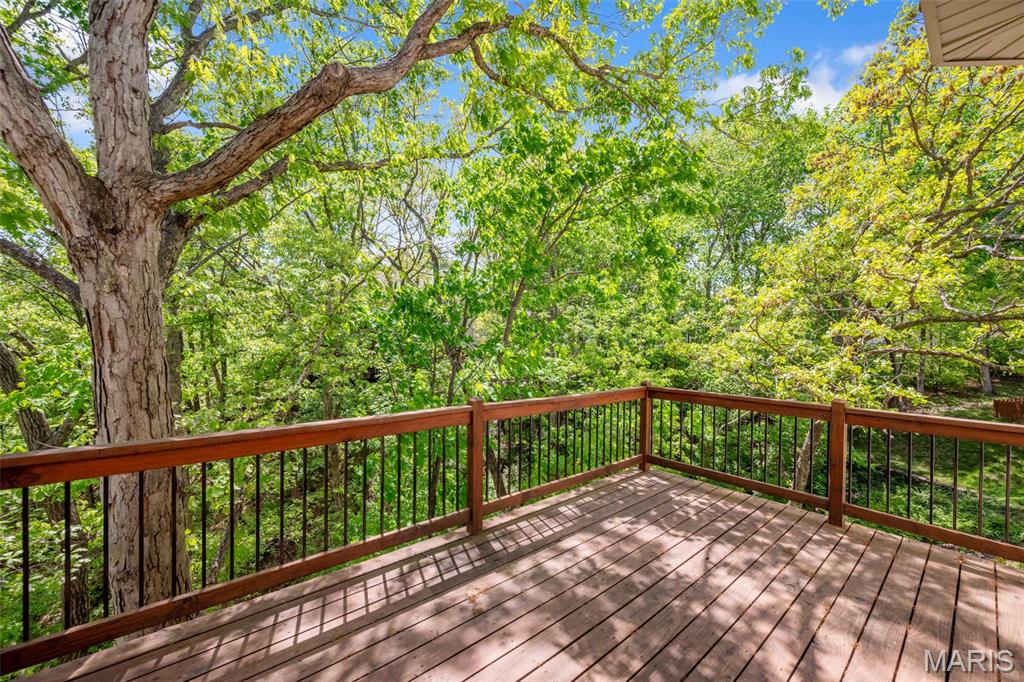 16112 Ridgewoods Manor Drive Ellisville, MO 63021 - Photo 58 of 64