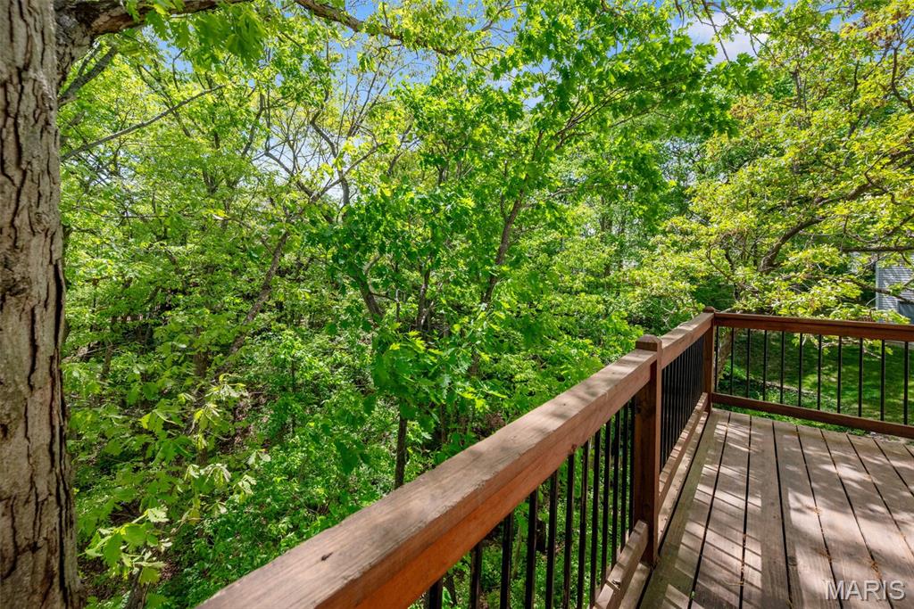 16112 Ridgewoods Manor Drive Ellisville, MO 63021 - Photo 59 of 64