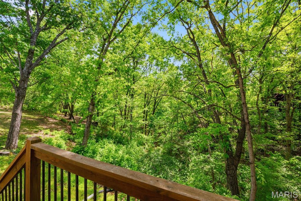 16112 Ridgewoods Manor Drive Ellisville, MO 63021 - Photo 60 of 64