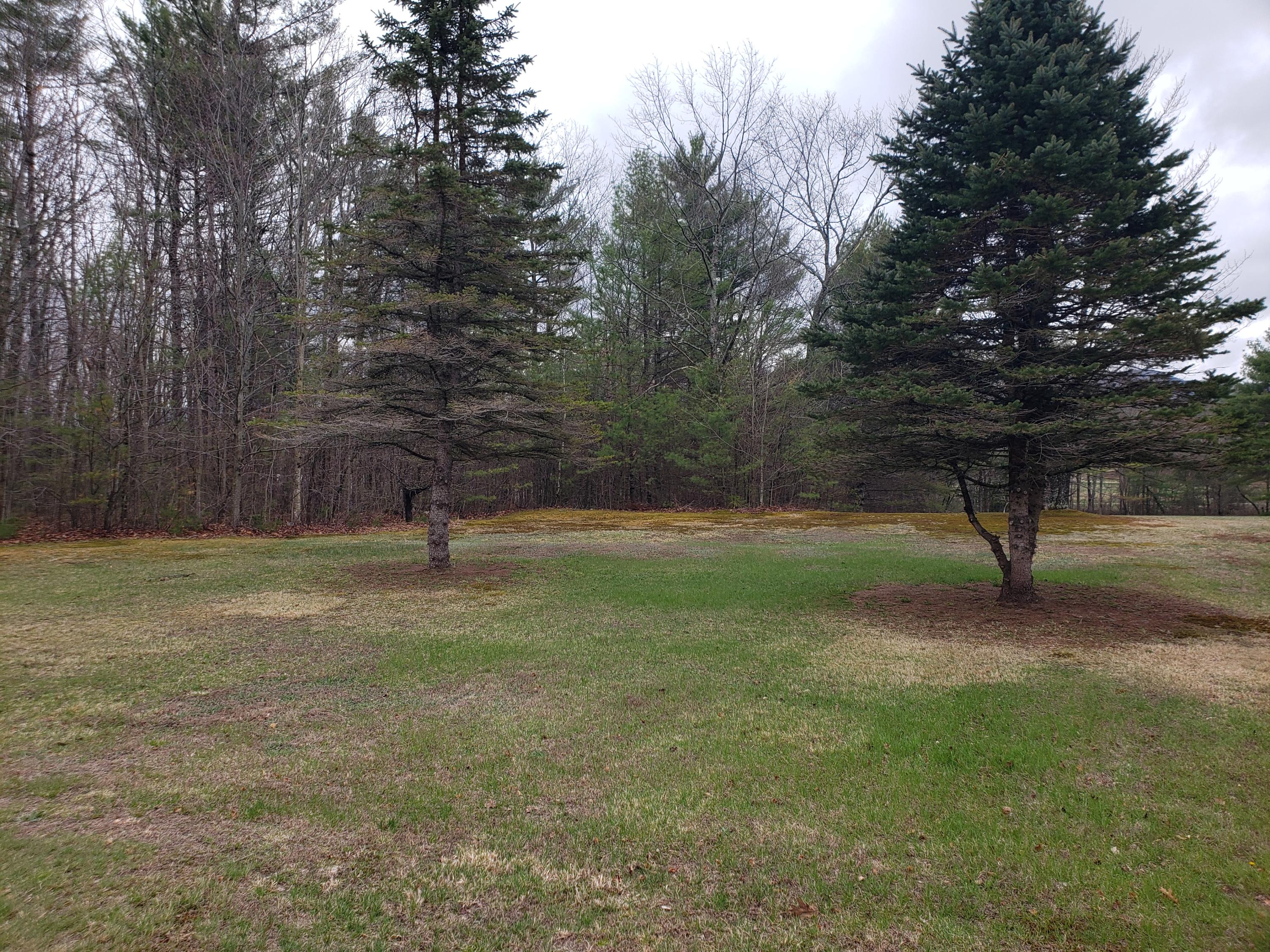 1290 Canton Point Road Dixfield, ME 04224 - Photo 6 of 34 20210429_100108 (1)