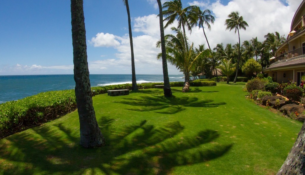 2640 Puuholo Road, Unit 134 Koloa, HI 96756 - Photo 17 of 20 a view of a garden with a palm tree