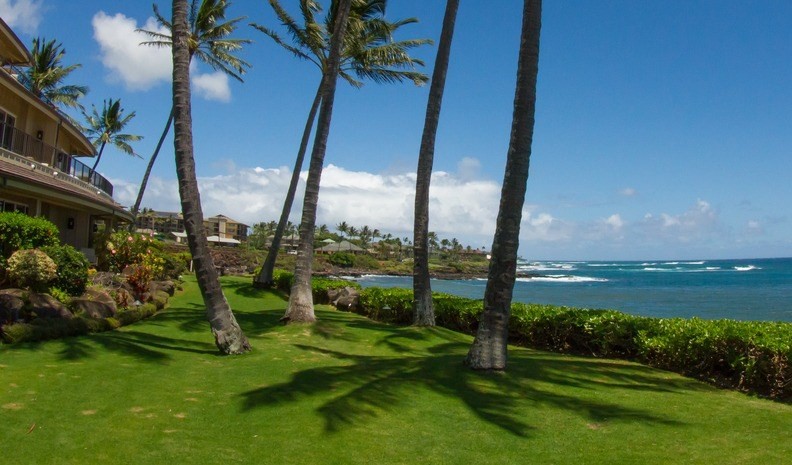 2640 Puuholo Road, Unit 134 Koloa, HI 96756 - Photo 18 of 20 a view of a garden with a tree