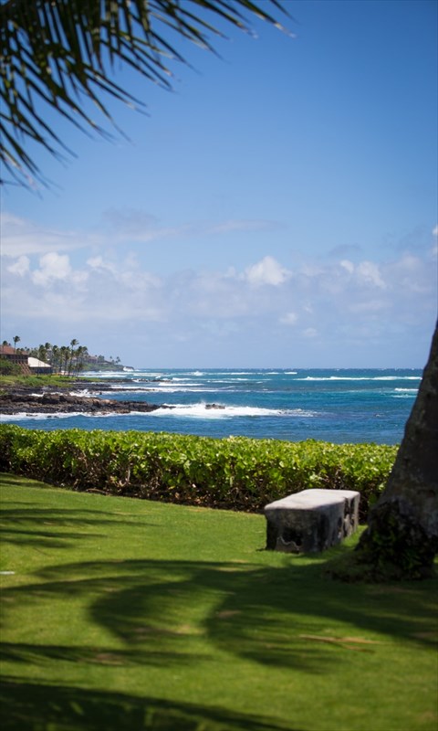 2640 Puuholo Road, Unit 134 Koloa, HI 96756 - Photo 19 of 20 a view of a city