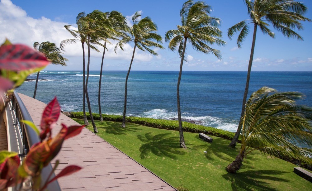 2640 Puuholo Road, Unit 134 Koloa, HI 96756 - Photo 4 of 20 a view of a park with palm trees