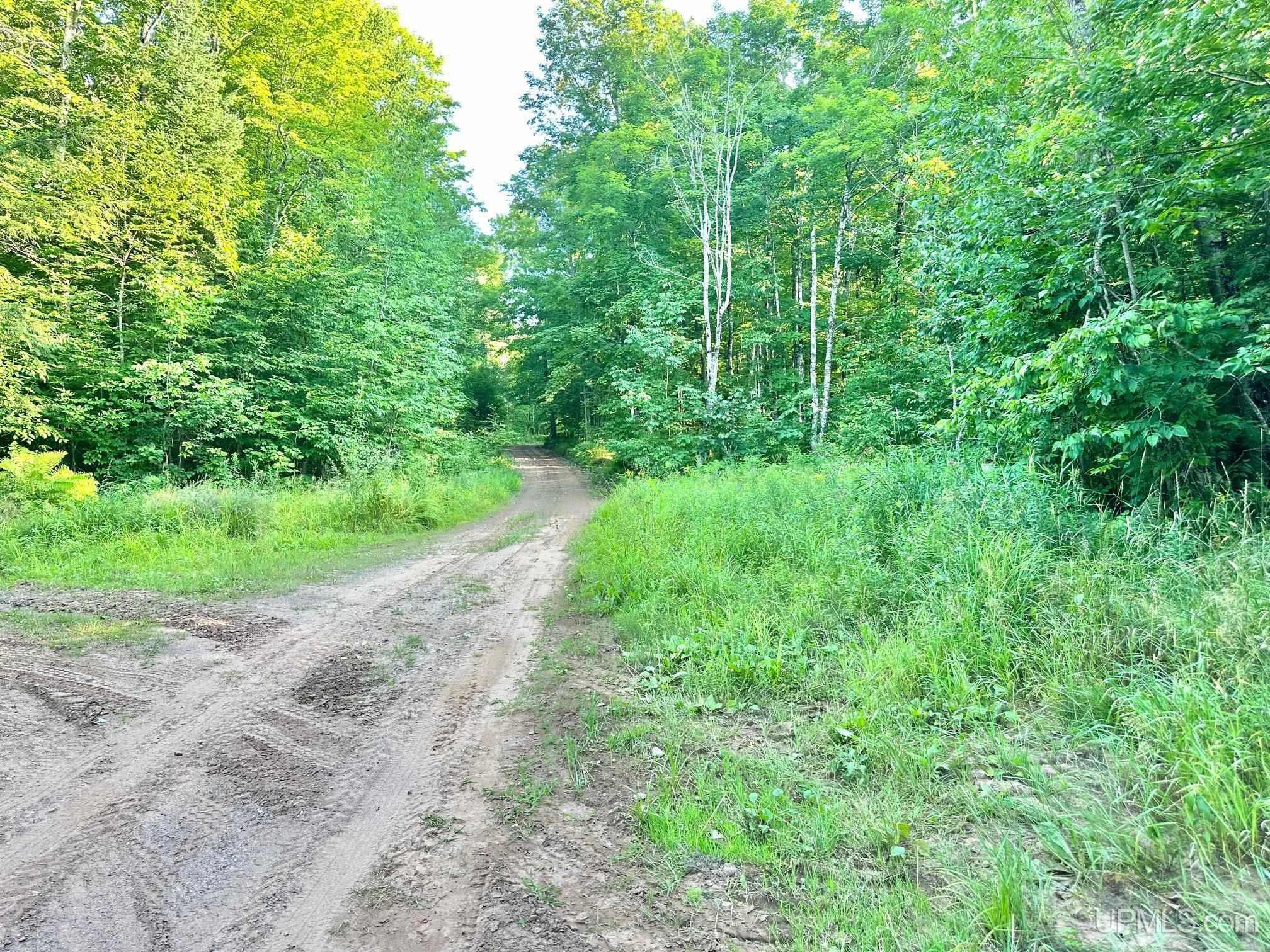 11301 W Box Spring Road Saxon, WI 54559 - Photo 39 of 42