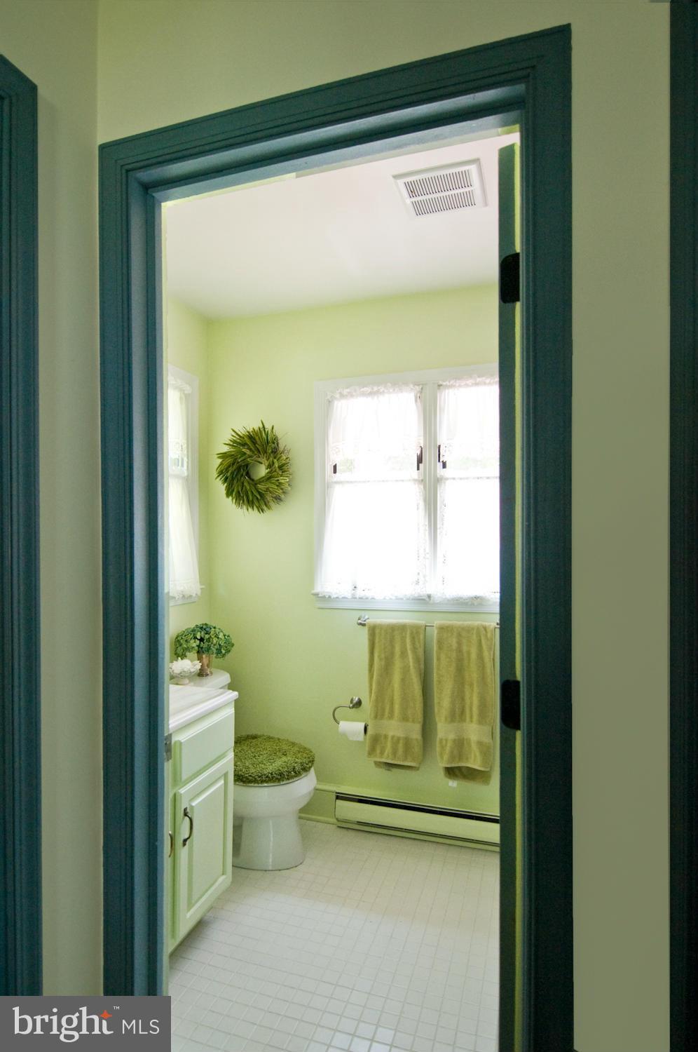 306 River Road Chestertown, MD 21620 - Photo 14 of 30 Bath (Master)