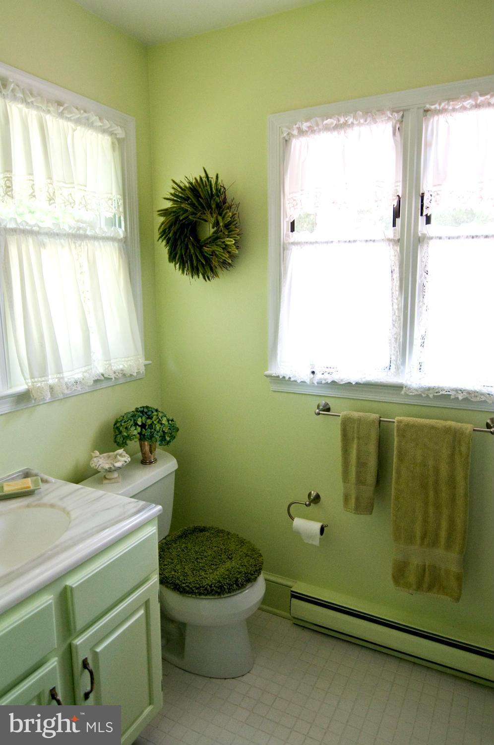 306 River Road Chestertown, MD 21620 - Photo 15 of 30 Bath (Master)
