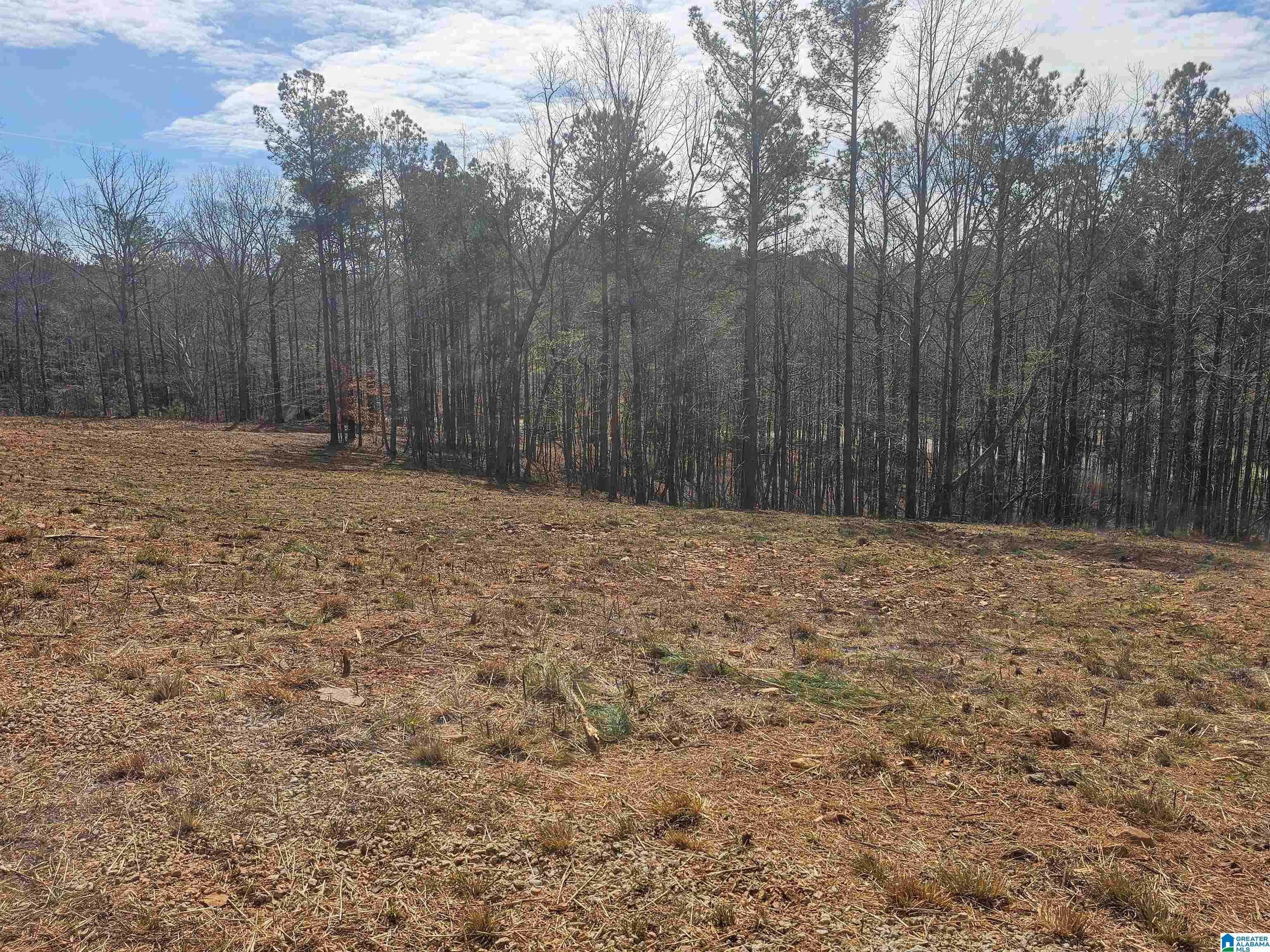 8235 County Road 10 Ranburne, AL 36273 - Photo 13 of 16
