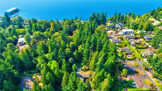 a view of a garden with plants