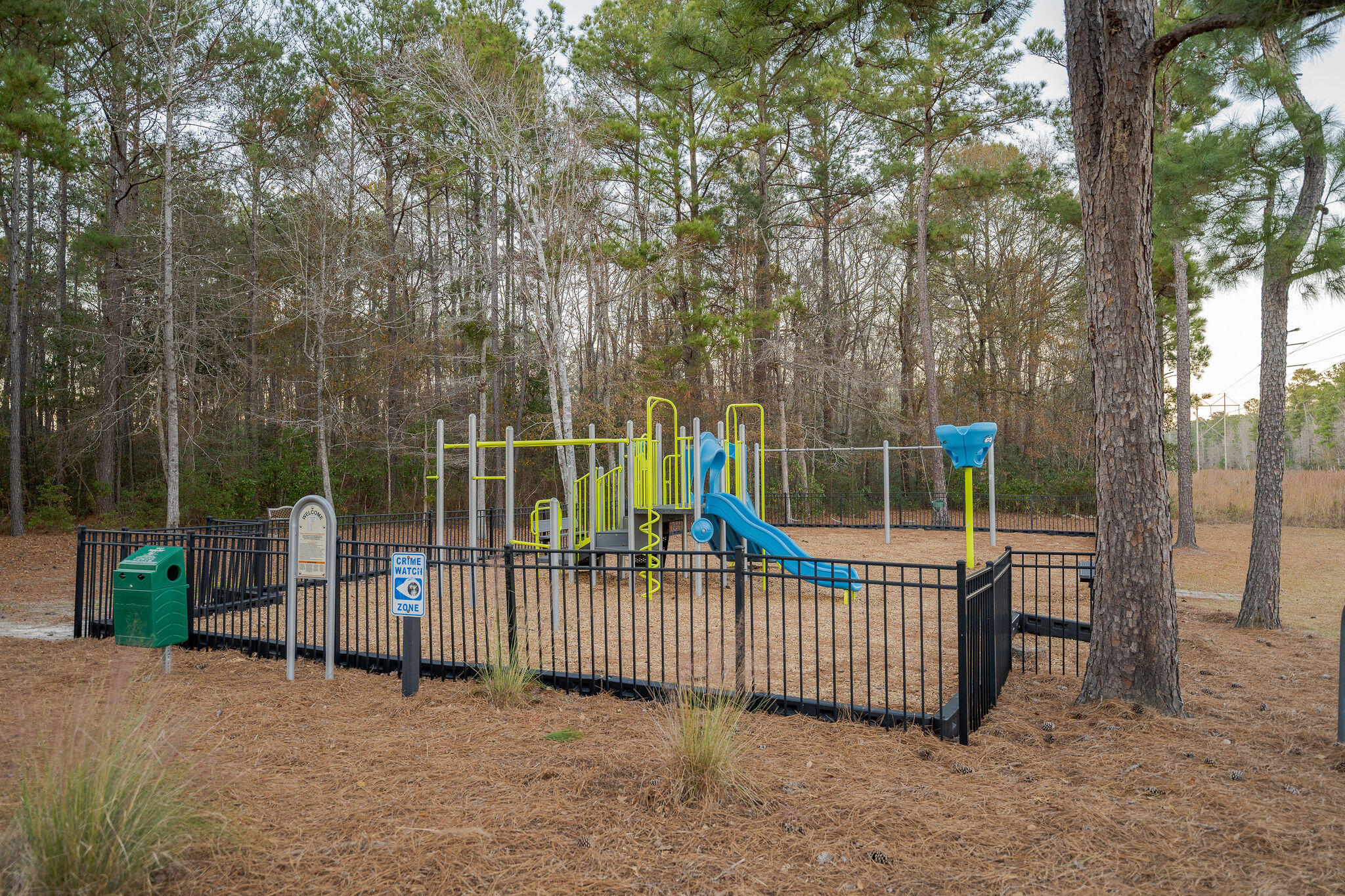 159 Cypress Forest Drive Moncks Corner, SC 29461 - Photo 42 of 52 159CypressForestDr-4352