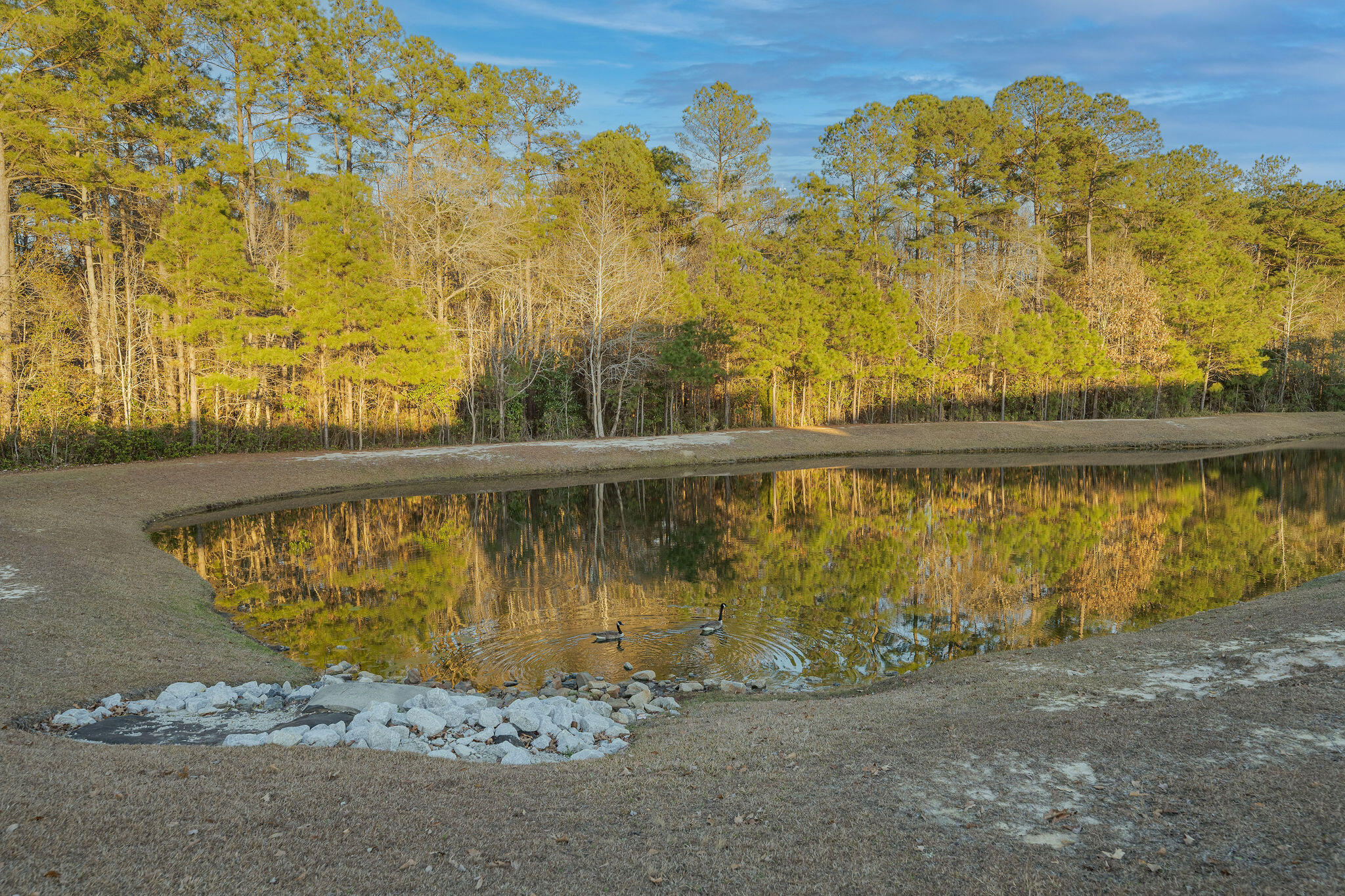 159 Cypress Forest Drive Moncks Corner, SC 29461 - Photo 43 of 52 159CypressForestDr--27