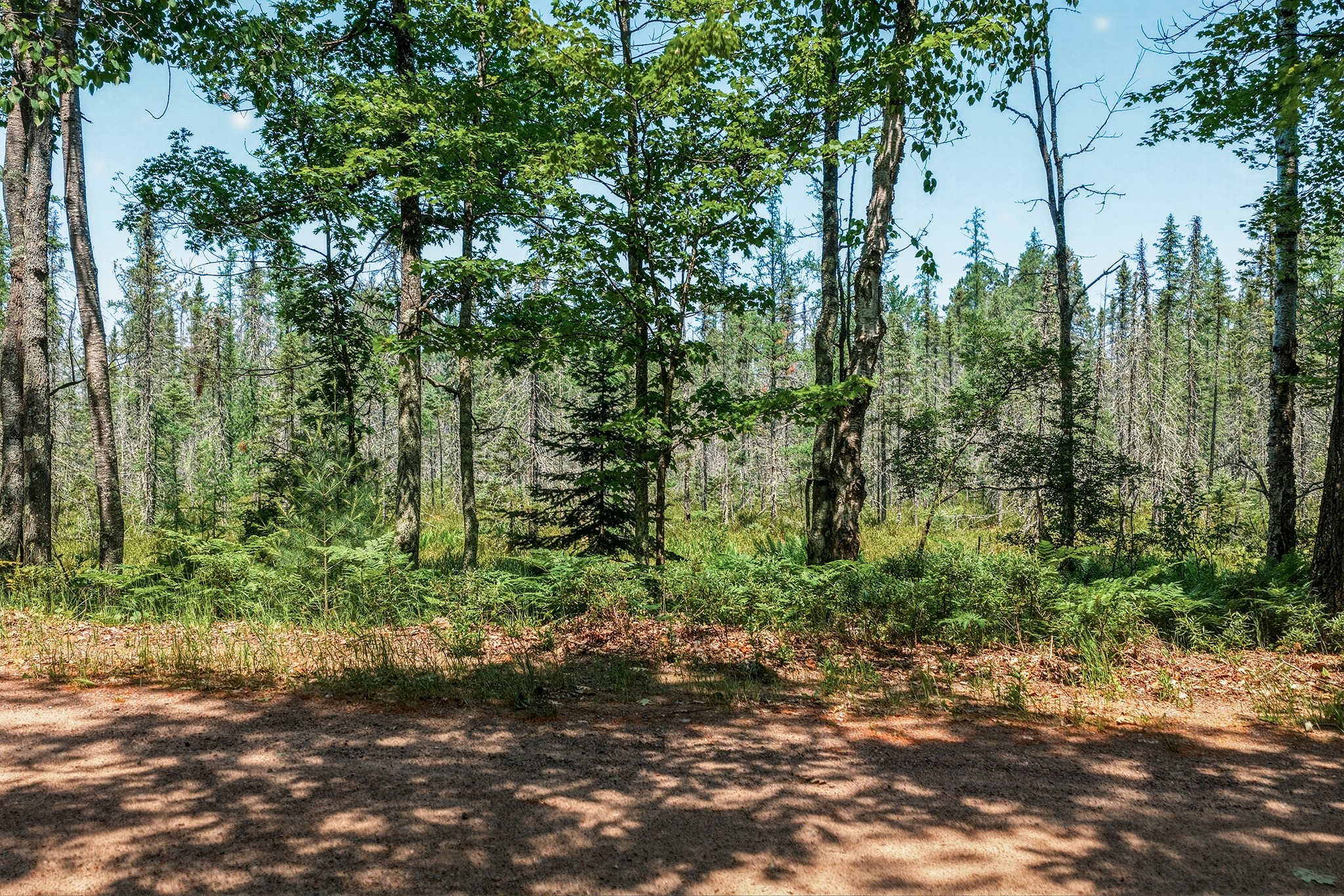 9292 West Duncan Point Road Hayward, WI 54843 - Photo 27 of 32