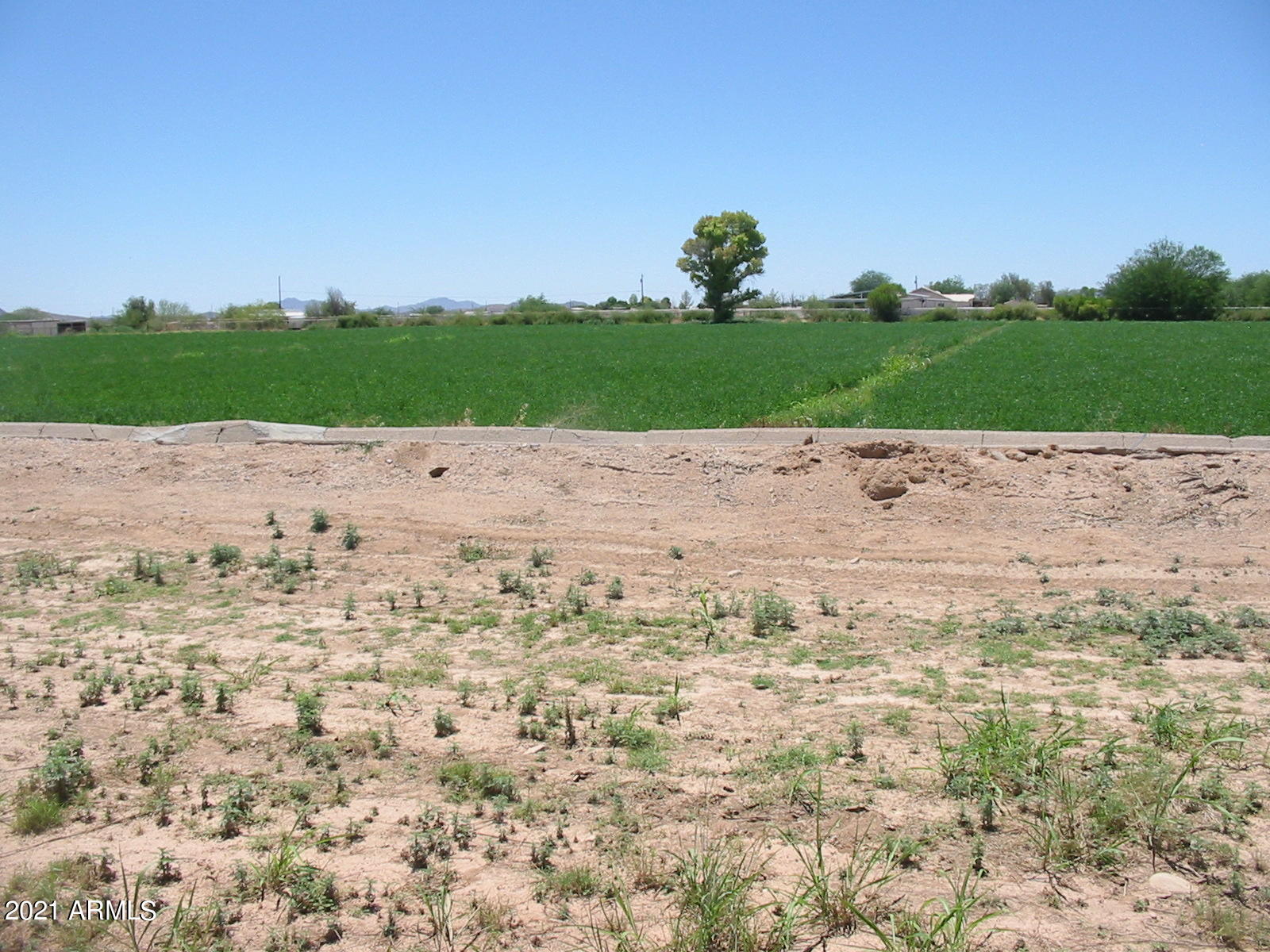 27000 North Cooper Road Florence, AZ 85132 - Photo 2 of 5 IMG_5839 (1)