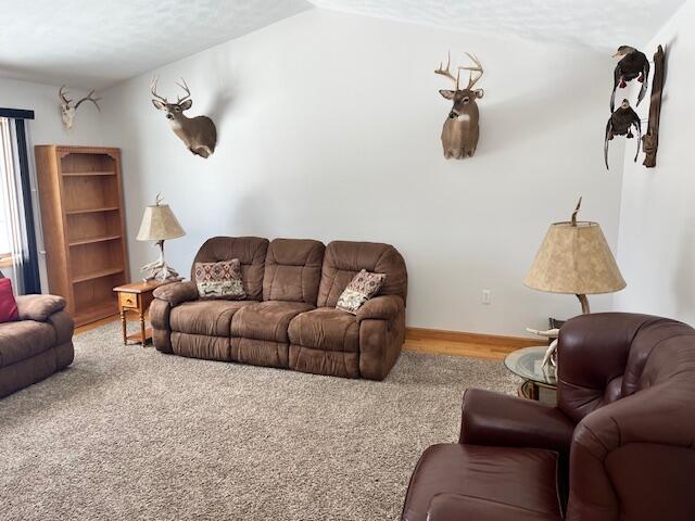 7313 West 12 1/2 Road Mesick, MI 49668 - Photo 27 of 71 IMG_9004