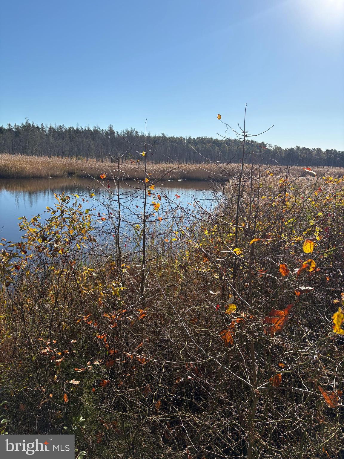 154 North Maple Avenue Tuckerton, NJ 08087 - Photo 6 of 15 a view of a lake with a mountain