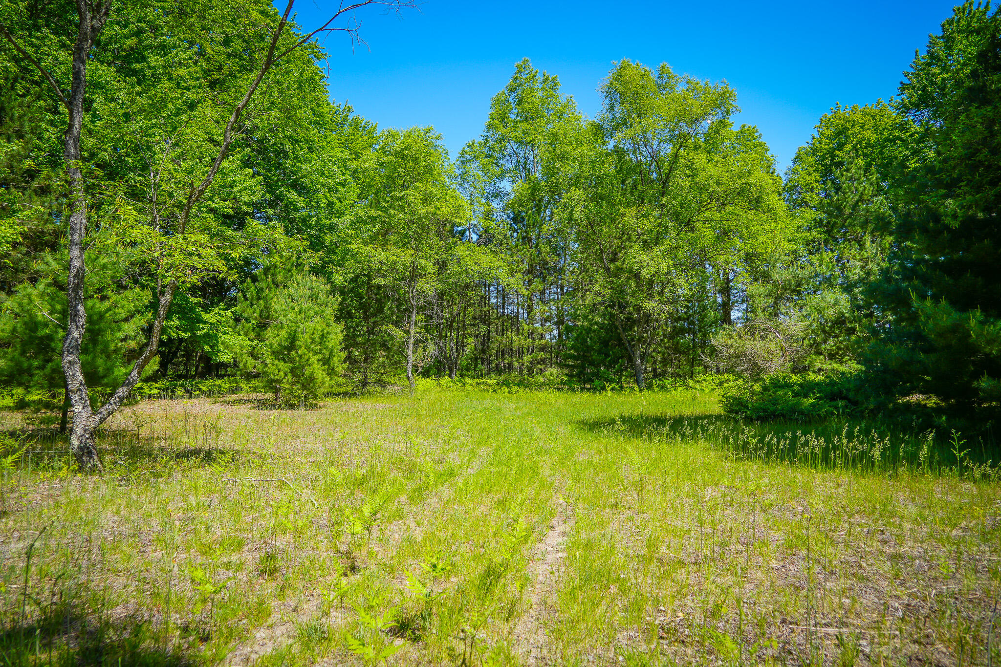 Parcel A Makinen Road Kaleva, MI 49645 - Photo 20 of 29 DSC00243