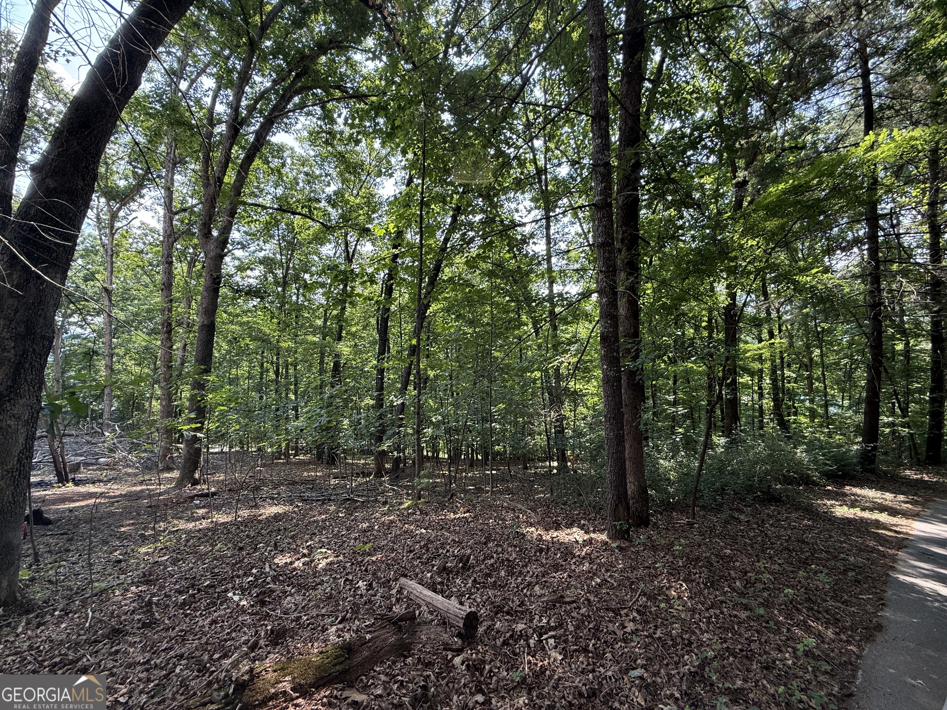 248 Ledford Chapel Road Hayesville, NC 28904 - Photo 22 of 24