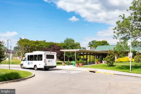 a view of a field with a tree in the background