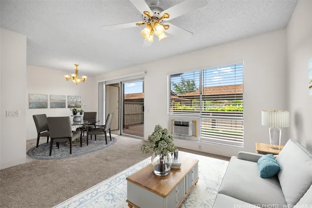 a living room with furniture potted plant and a window