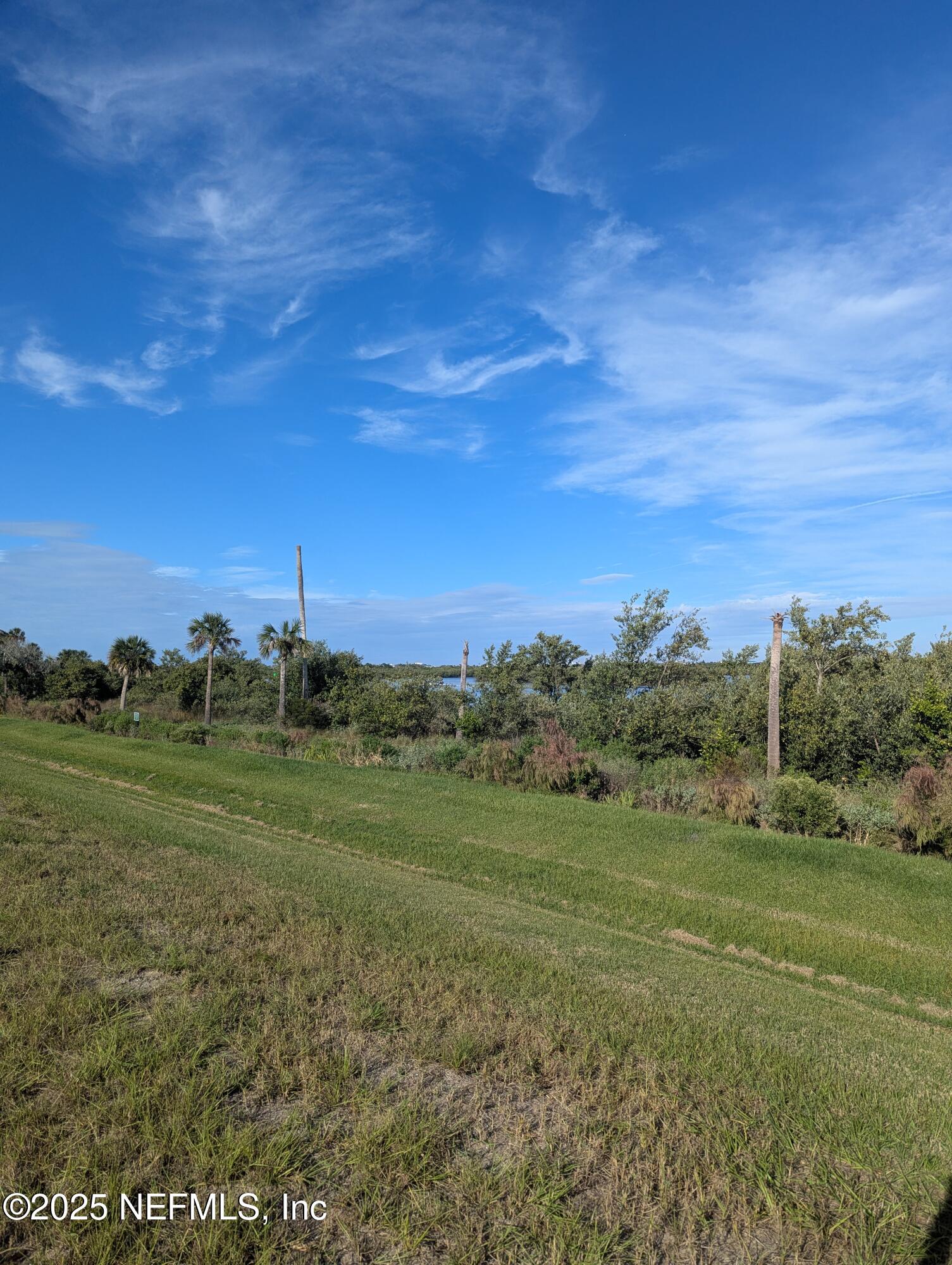 64 Coronado Road Flagler Beach, FL 32136 - Photo 2 of 4 a view of a field with an trees
