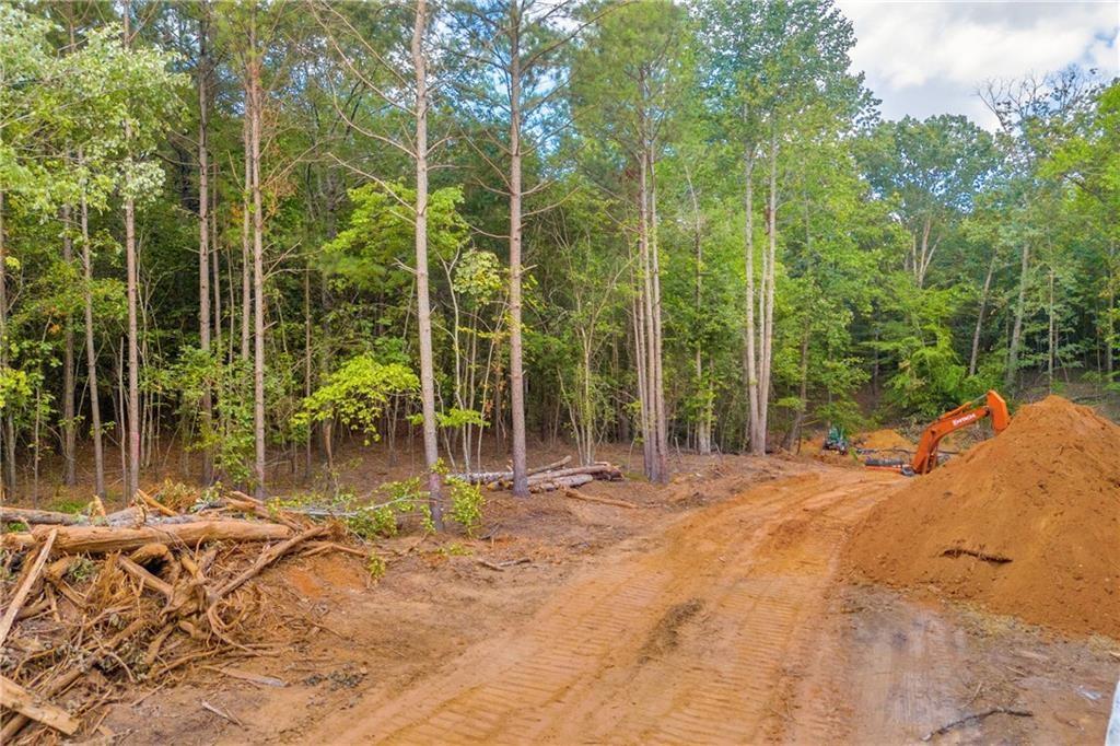 5561 Shadburn Ferry Road Buford, GA 30518 - Photo 15 of 15 a view of a backyard with a patio