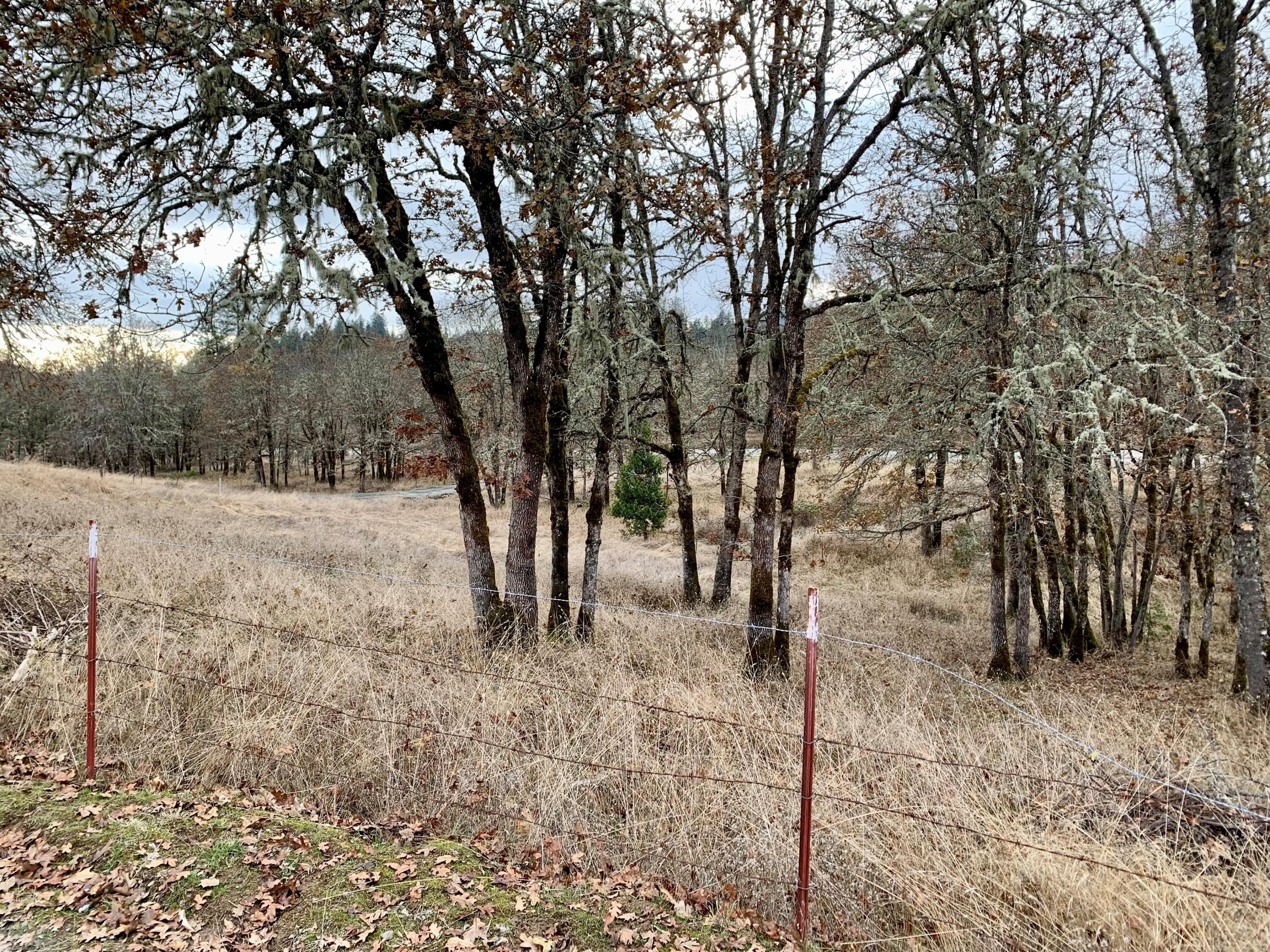 5471 Tunnel Loop Road Grants Pass, OR 97526 - Photo 17 of 23 4