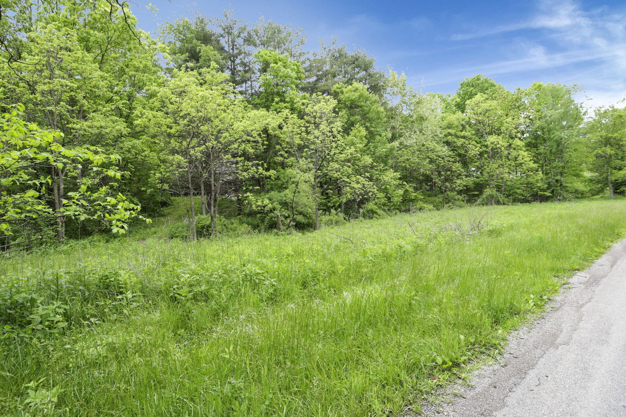 11250 Grass Run Road New Marshfield, OH 45766 - Photo 8 of 16 Lush roadside greenery