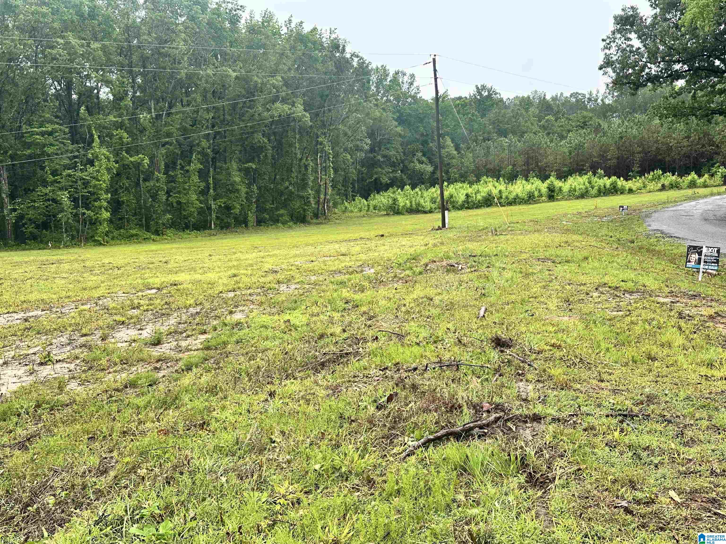 0 Ward School Road, Unit 3 Centreville, AL 35042 - Photo 2 of 3