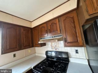 17 Propeller Drive Baltimore, MD 21220 - Photo 9 of 18 a kitchen with granite countertop a stove and a sink
