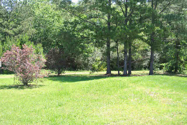 26210 Rifleman Road Elberta, AL 36530 - Photo 13 of 13