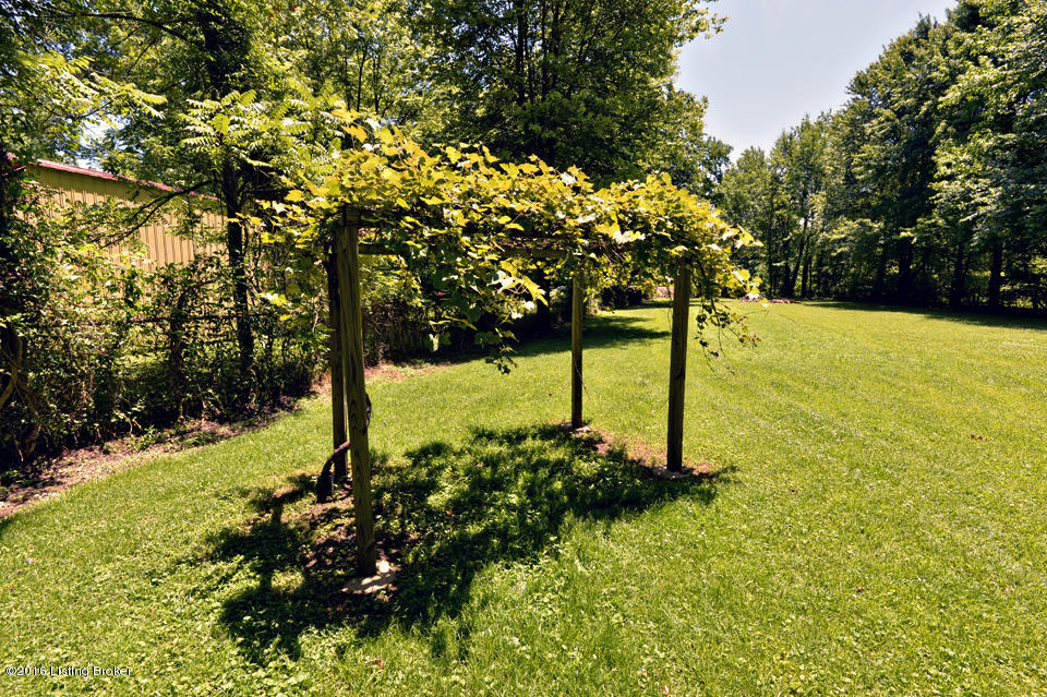 7707 3rd Street Road Louisville, KY 40214 - Photo 41 of 49 Back Yard