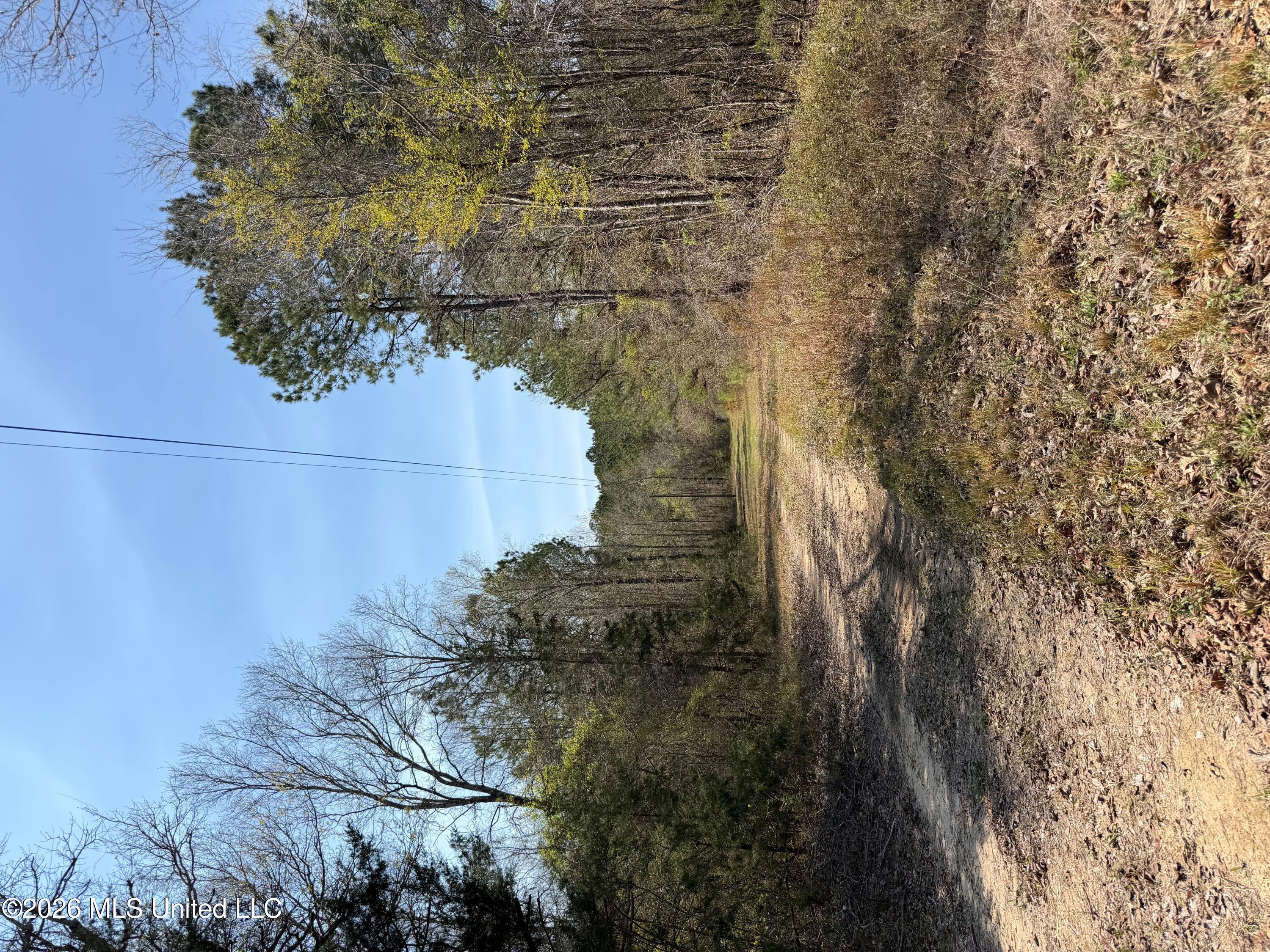 285 Mt Horeb Road Meridian, MS 39301 - Photo 1 of 27 Driveway Entrance