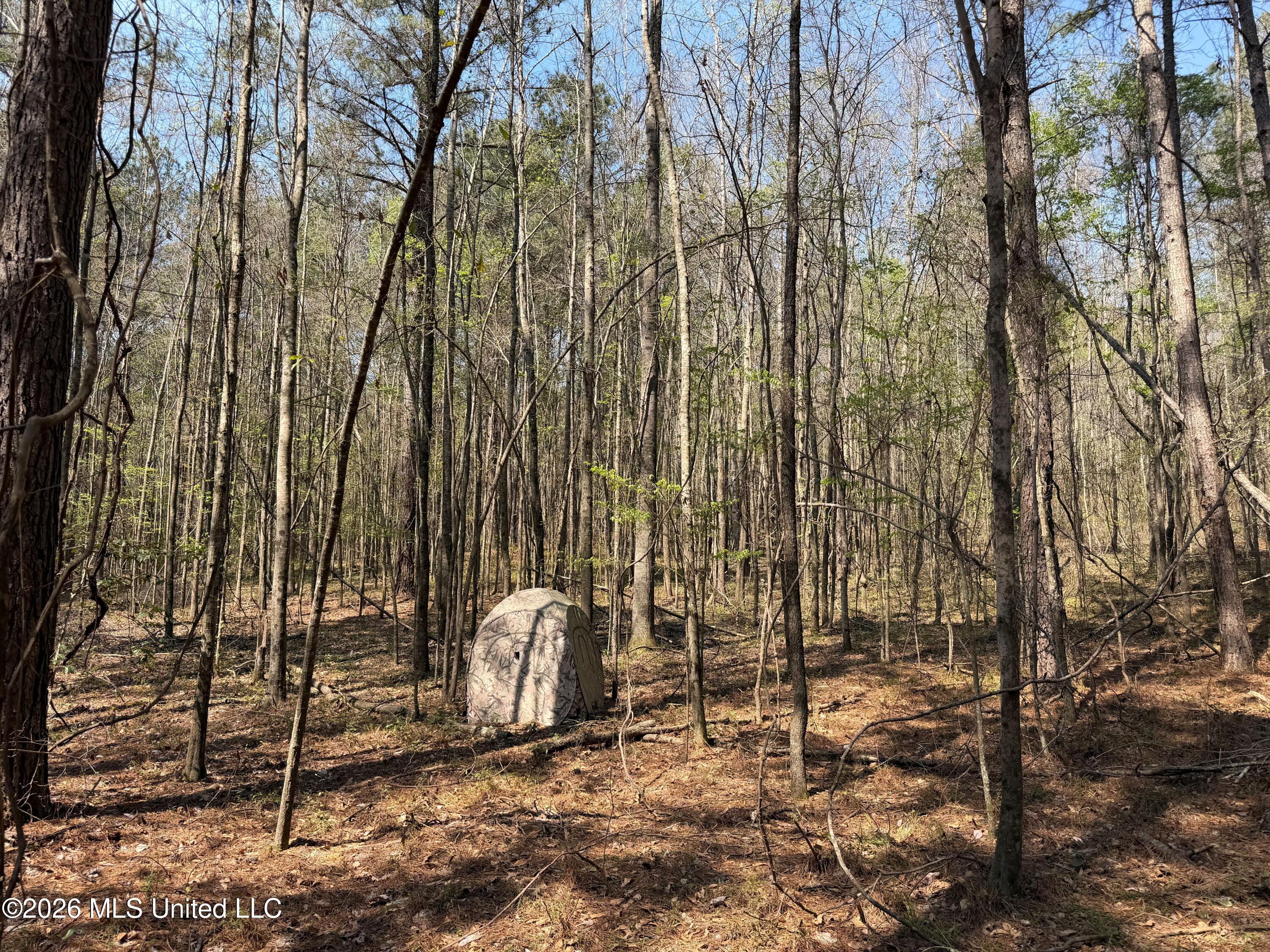 285 Mt Horeb Road Meridian, MS 39301 - Photo 11 of 27 11 (5)