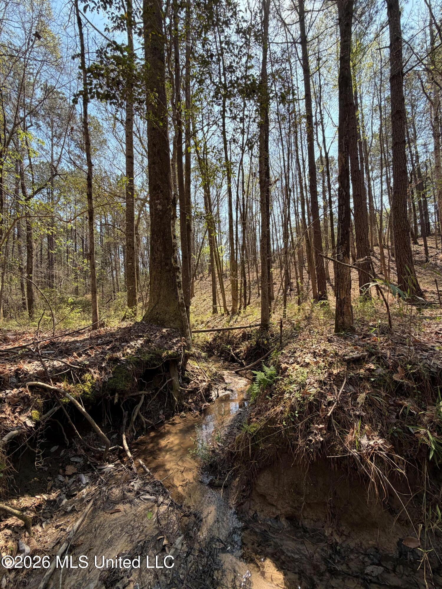 285 Mt Horeb Road Meridian, MS 39301 - Photo 12 of 27 12 (4)