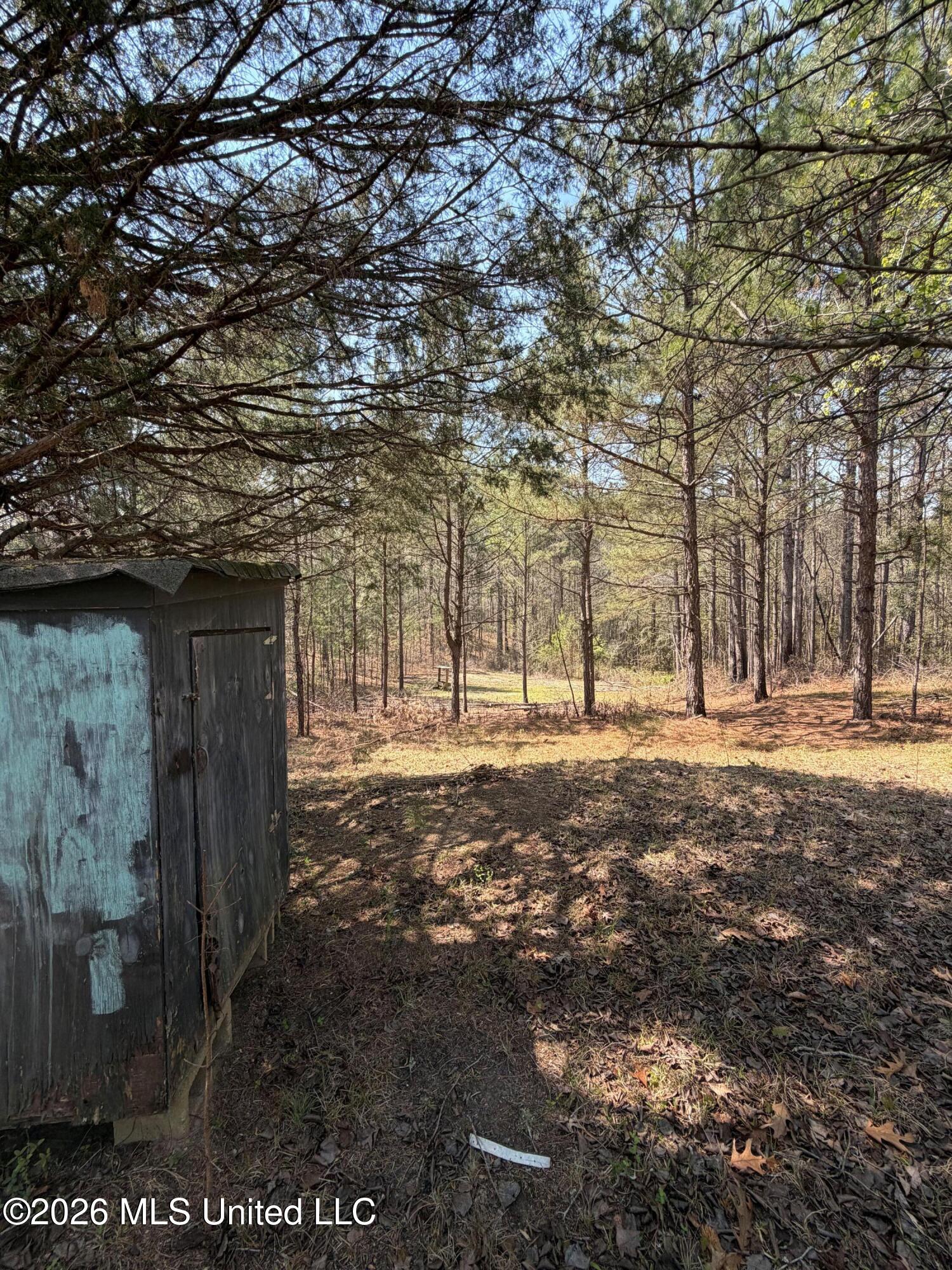 285 Mt Horeb Road Meridian, MS 39301 - Photo 15 of 27 15 (3)