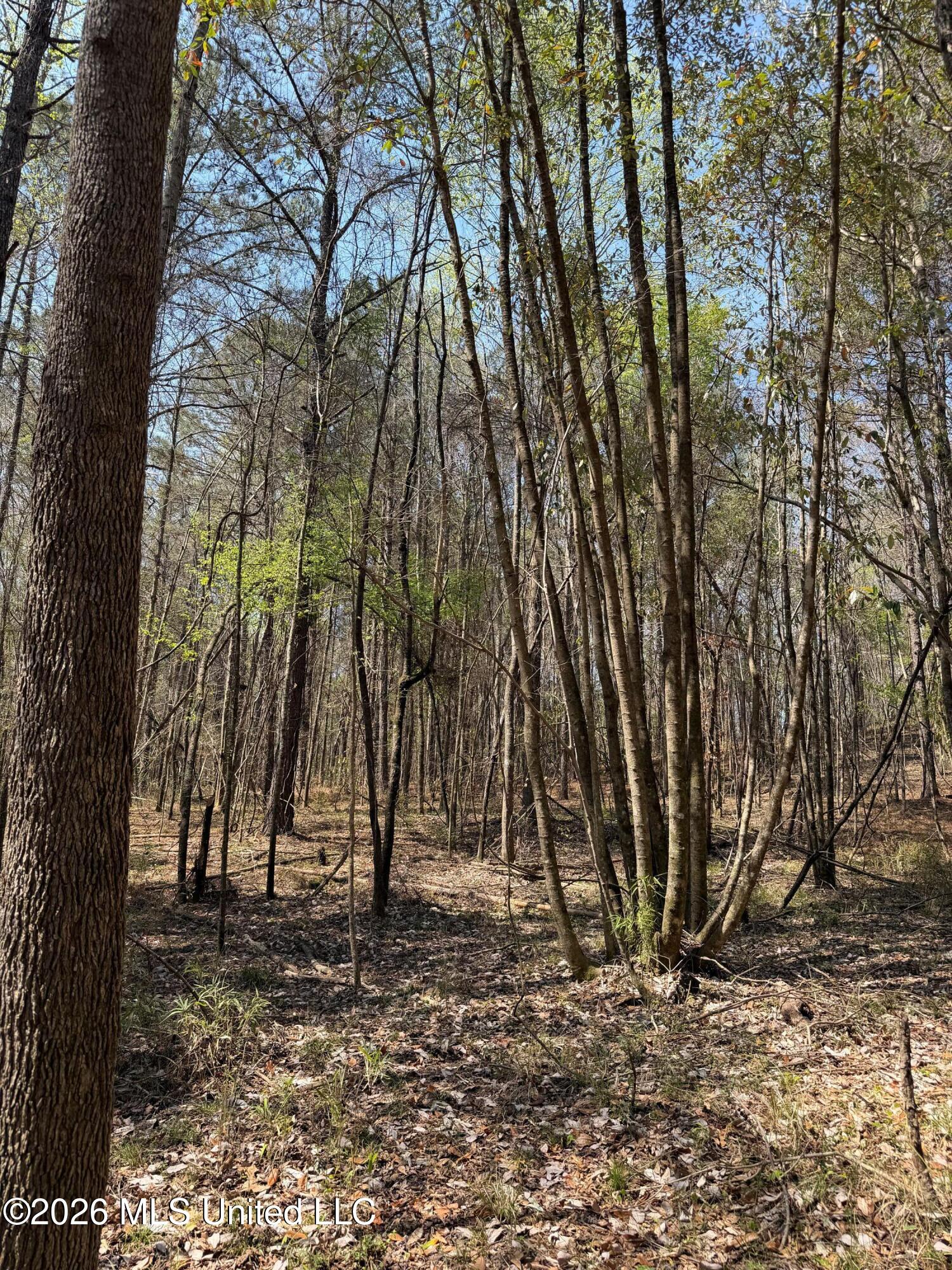 285 Mt Horeb Road Meridian, MS 39301 - Photo 17 of 27 Photo Mar 19 2026, 1 08 02 PM